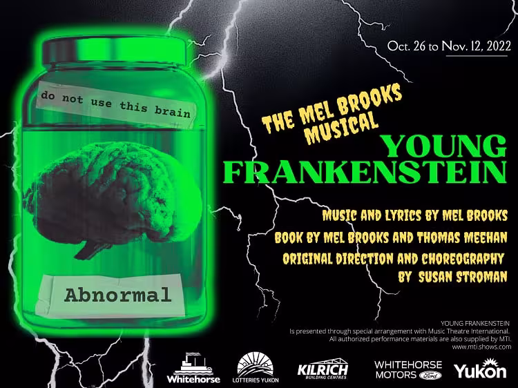 Young Frankenstein show poster